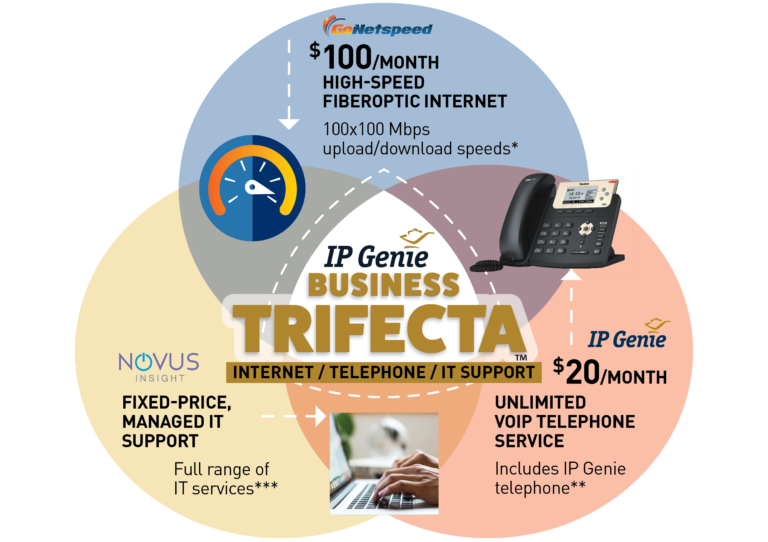 IP Genie Trifecta offer